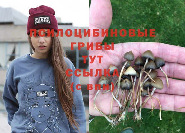прущая мука Саяногорск