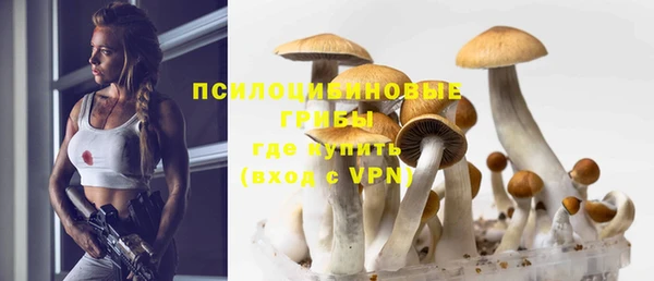 ECSTASY Заволжье