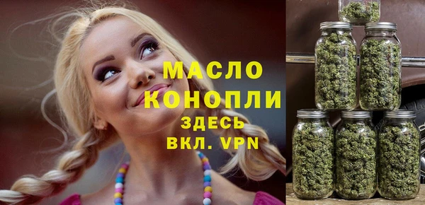 мдпв Инта