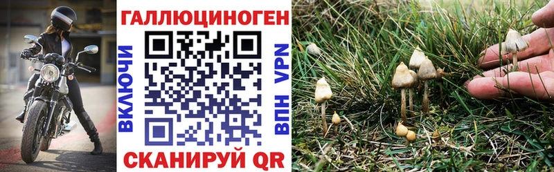 Галлюциногенные грибы мухоморы  Купить закладки  Кореновск 